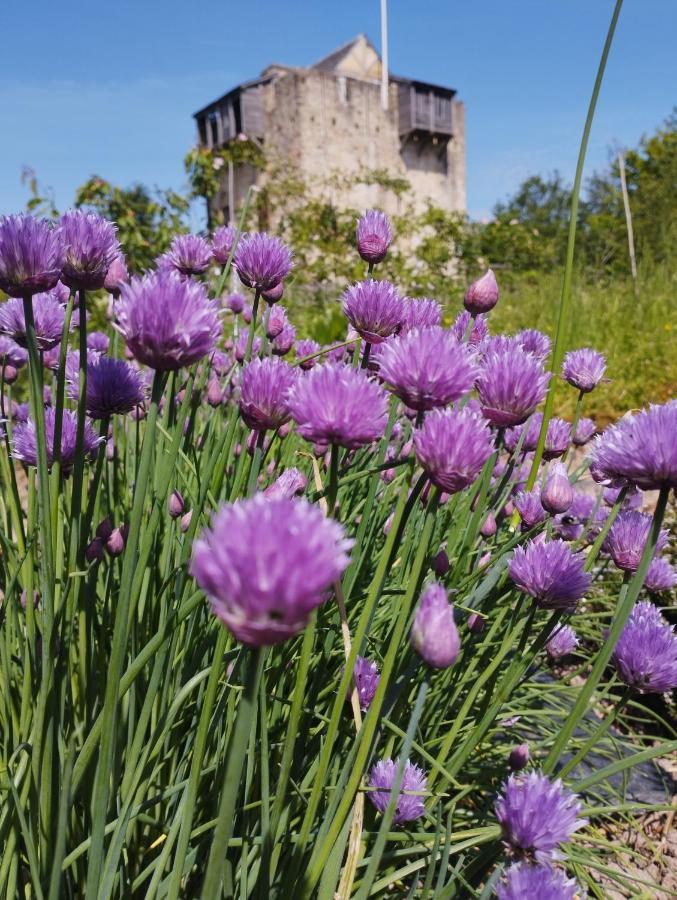 Domaine De La Ferte Clairbois Hotell Sainte-Suzanne  Exteriör bild