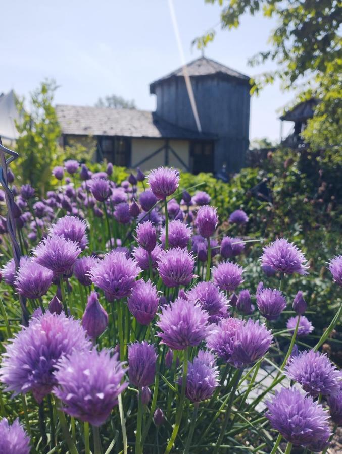 Domaine De La Ferte Clairbois Hotell Sainte-Suzanne  Exteriör bild
